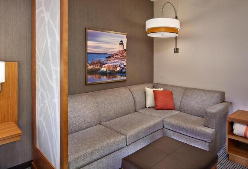 适合残疾人士使用的带超级大床的标准间, Hyatt Place Warwick/providence Airport