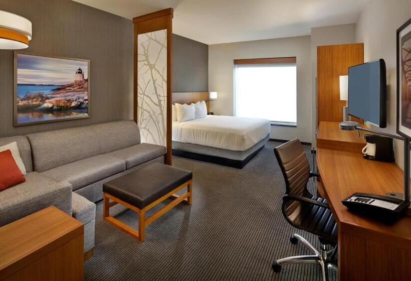 适合残疾人使用的标准间, Hyatt Place Warwick/providence Airport