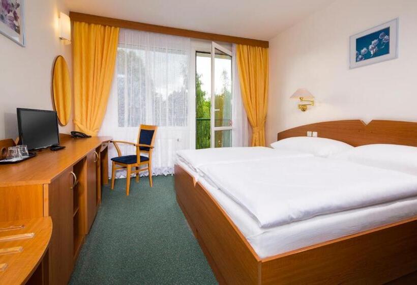 غرفة قياسية, Spa Resort Libverda   Hotel Nový Dům