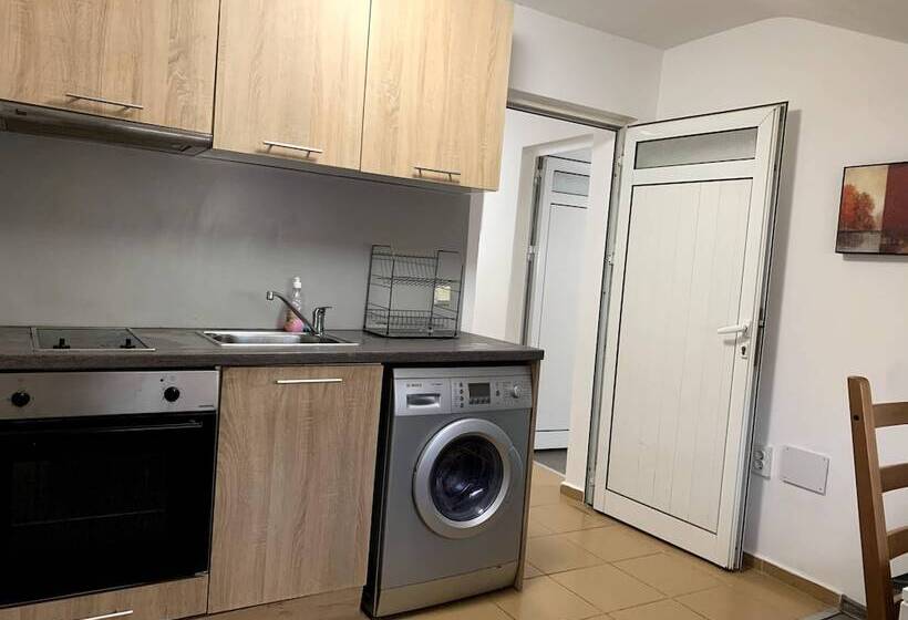 带1个卧室的公寓, Samuil Apartments