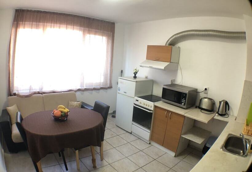 带1个卧室的公寓, Samuil Apartments