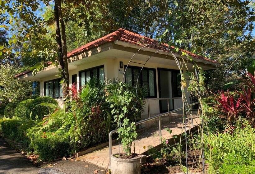 Семейный Номер Deluxe, Baan Pingkan Wellness Resort
