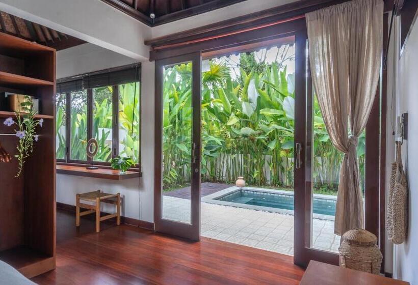 스탠다드 스튜디오 풀장 전망, Soulshine Bali