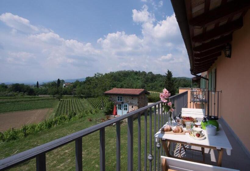 Апартаменты 1 Спальня, Casali Del Picchio   Winery
