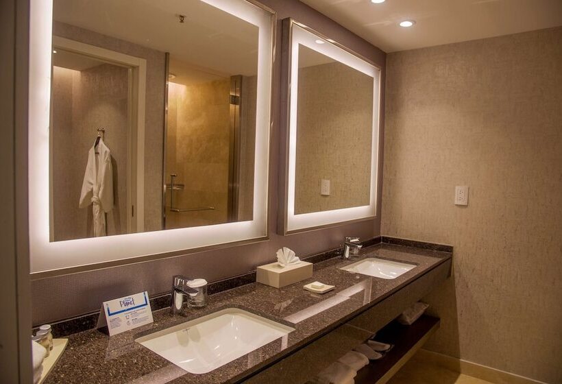 Люкс Superior, Hilton Pilar
