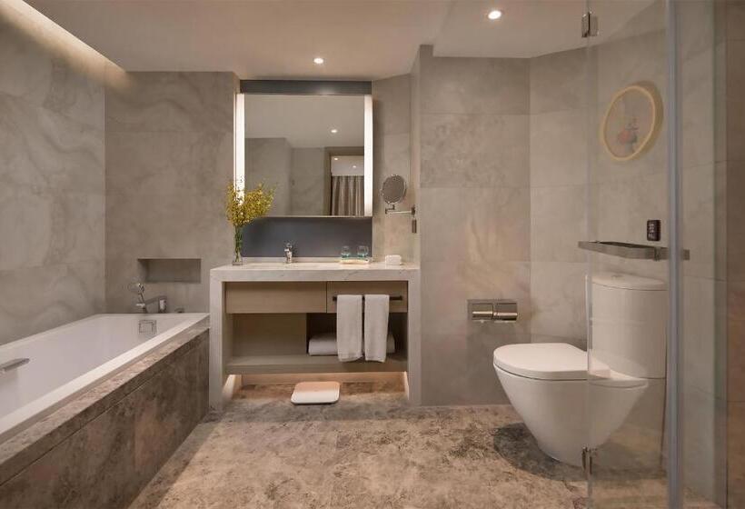 سوئیت با تخت بزرگ, Holiday Inn   Nanjing South Station, An Ihg