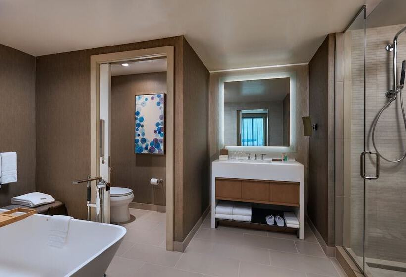 Президентский Люкс, The Westin Irving Convention Center At Las Colinas