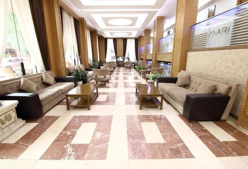 标准单人间, Afyon Grand Ari
