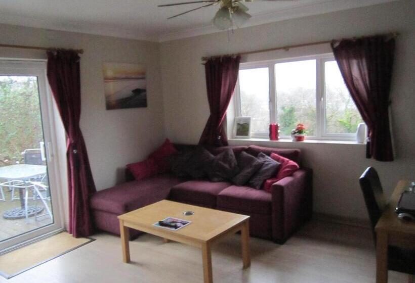 Апартаменты 1 Спальня, Cwmbach Guest House