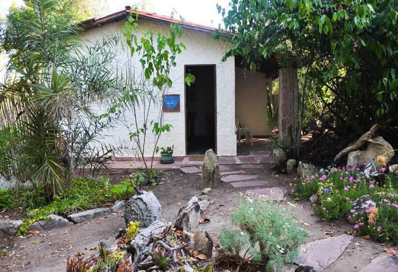 Номер Стандарт, Castelar Da Alvorada