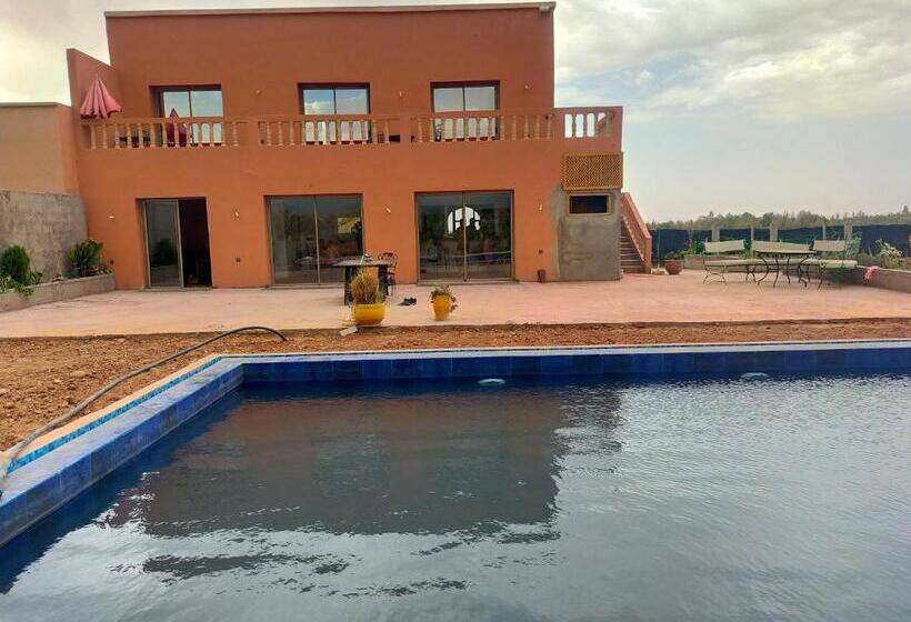 Номер Стандарт, Chez Jm Saida