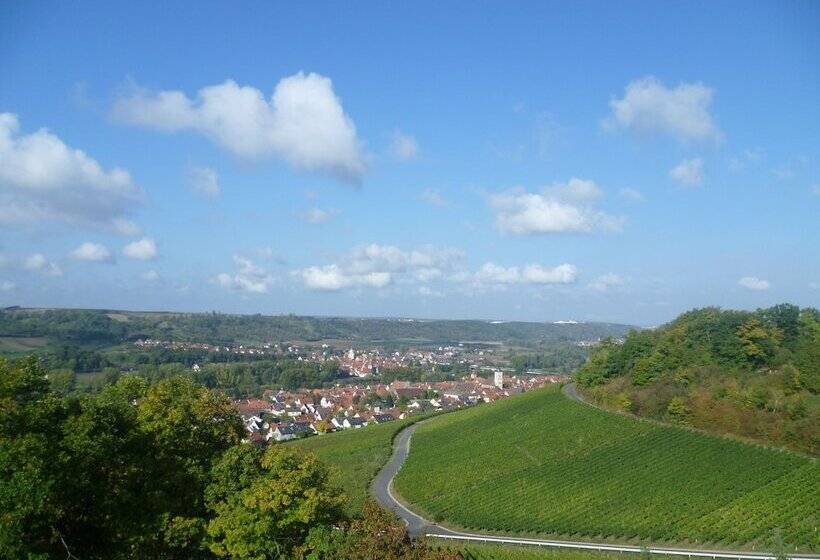 シングルデラックスルーム, Kirschberghof Gästehaus Und Weinverkauf