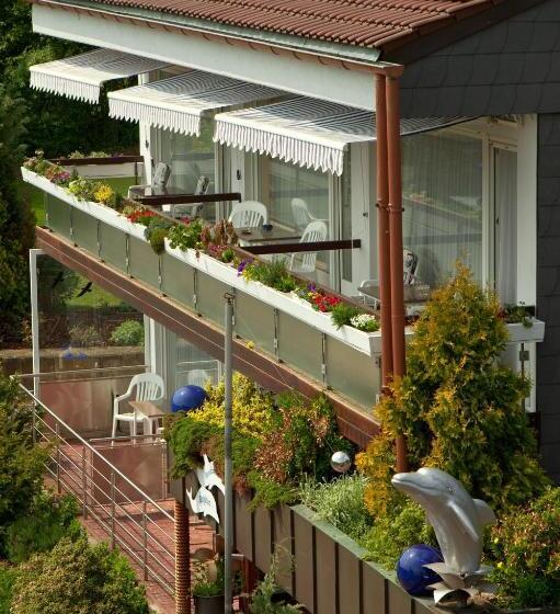 Студия Стандарт, Haus Delphin