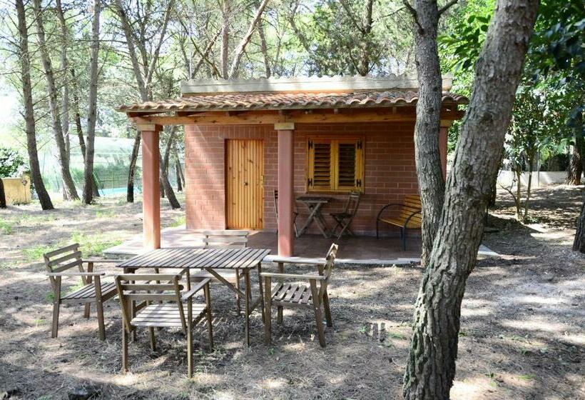 Бунгало Стандарт, Agriturismo Valle Verde