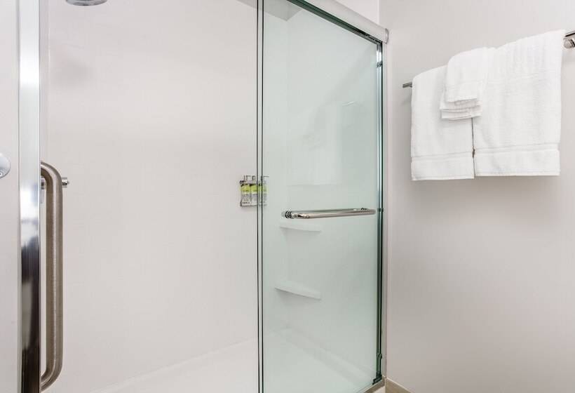 סוויטה מותאמת לאדם עם מוגבלויות, Holiday Inn Express & Suites   Ottawa, An Ihg