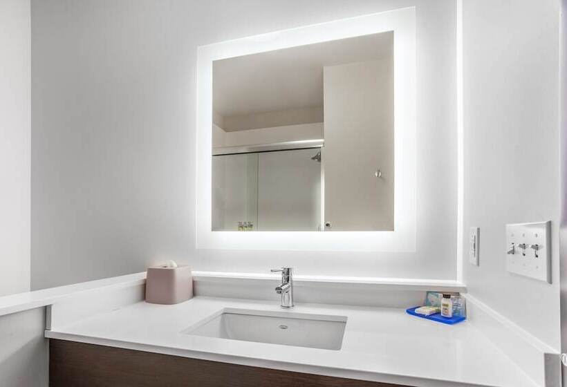 סוויטה מותאמת לאדם עם מוגבלויות, Holiday Inn Express & Suites   Ottawa, An Ihg