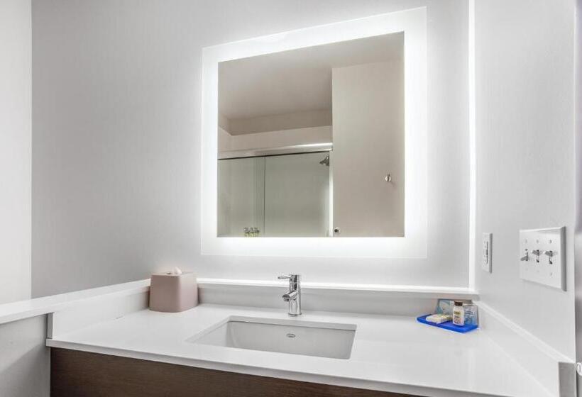 סוויטה מותאמת לאדם עם מוגבלויות, Holiday Inn Express & Suites   Ottawa, An Ihg