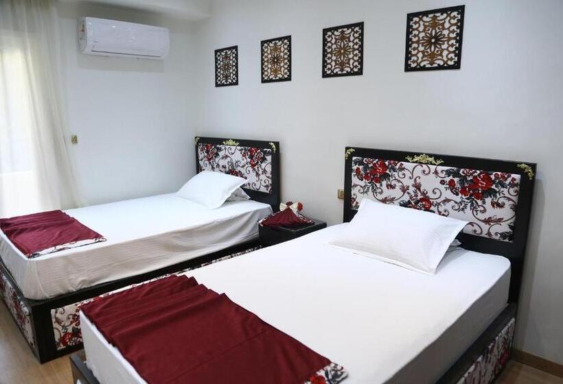 اتاق لوکس یک تخته, Ambiance Cairo