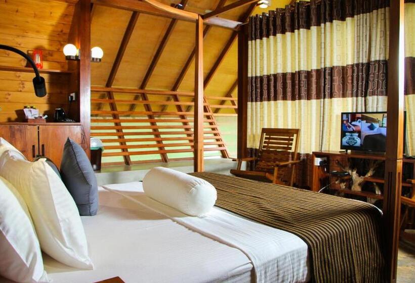 سوییت لوکس, Aloft Grand Hotel Ella