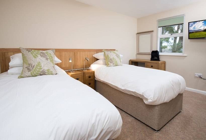 스탠다드 룸, Brown Rigg Guest Rooms
