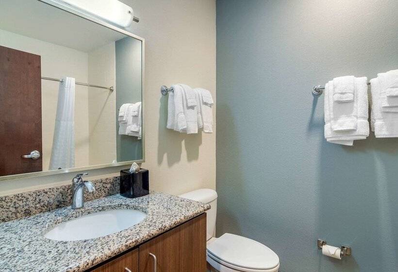 Люкс, Mainstay Suites Newnan Atlanta South