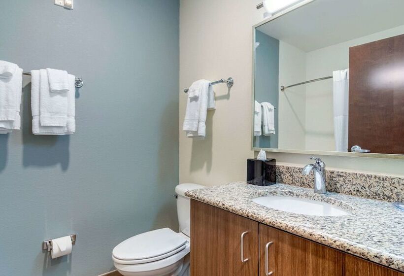 Люкс Адаптированный для Инвалидов, Mainstay Suites Newnan Atlanta South