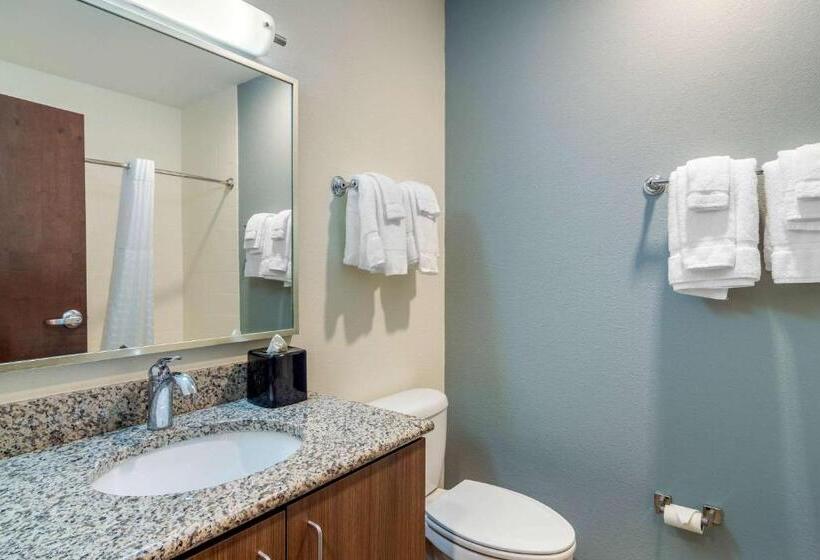 带大床的套房, Mainstay Suites Newnan Atlanta South