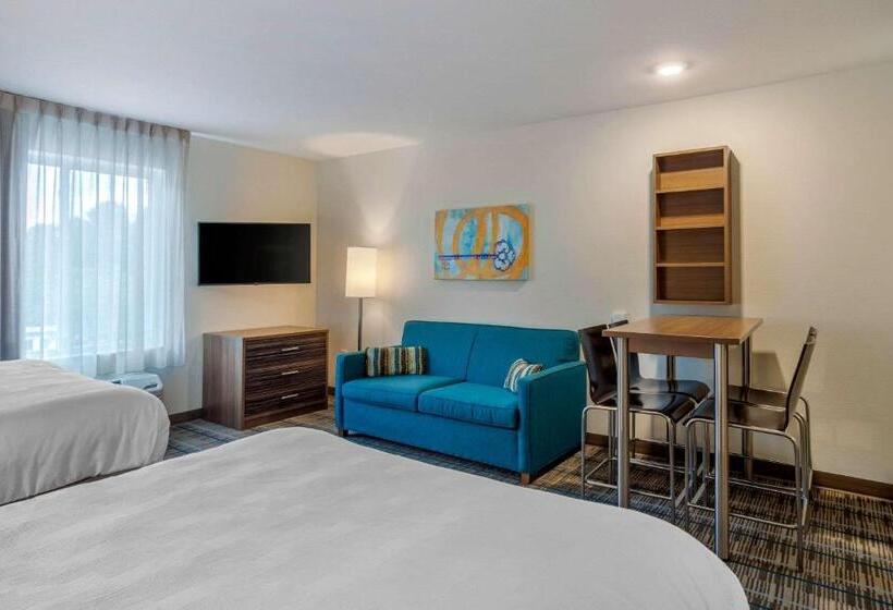 Люкс Адаптированный для Инвалидов, Mainstay Suites Newnan Atlanta South