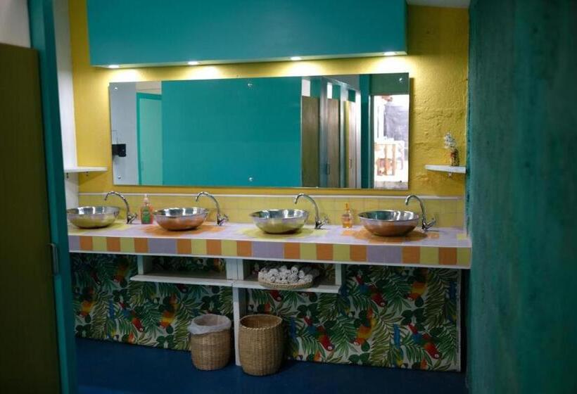 Habitacion Cuadruple Economy Baño Compartido, Ragamuffin Hostel