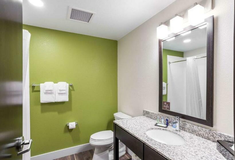 Номер Стандарт, Mainstay Suites Logan Ohio Hocking Hills