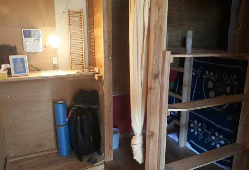 공동 객실, Backpackers Guesthouse Border