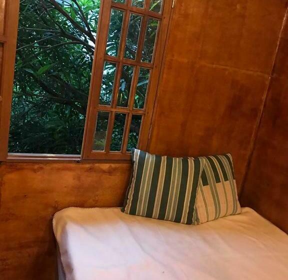 Номер Economy, Casa Na árvore