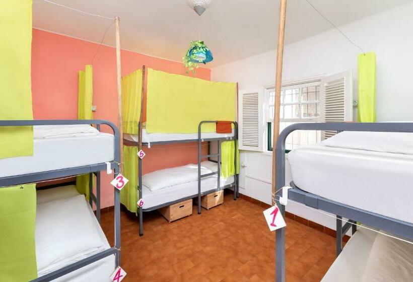 Четырехместный Номер Economy, Patio Hostel