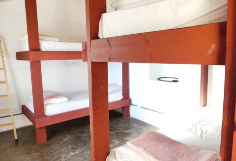 سرير فى غرفة مشتركه, Mountain Hostel Finca La Isa By Rose