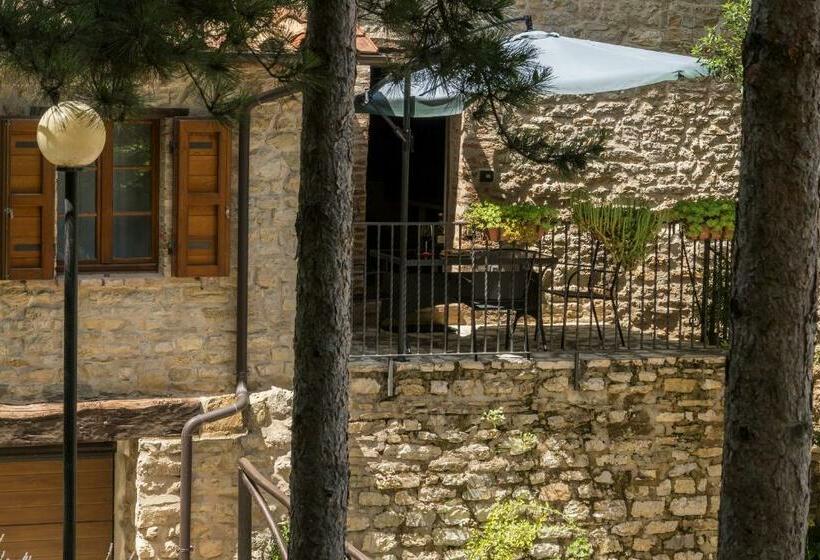 سوییت جونیور, Agriturismo Monte Acuto