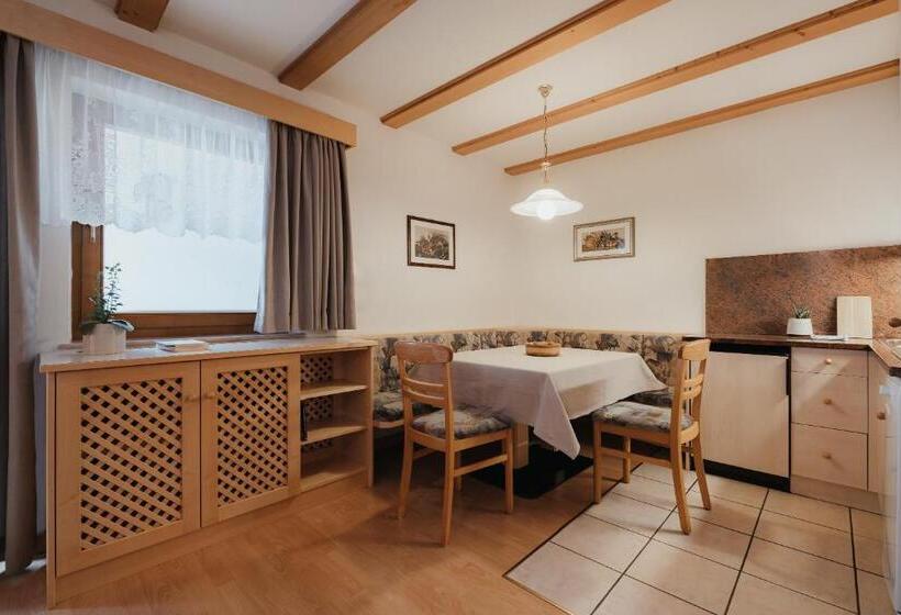 Апартаменты Basic 1 Спальня, Residence Chalet Pinis