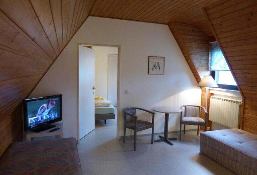 침실 1개 아파트, Gästehaus An Der Rheinbrücke