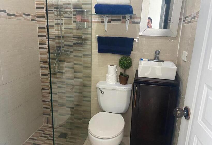 １ベッドルームアパートメント, Apartamentos Magallanes Romana