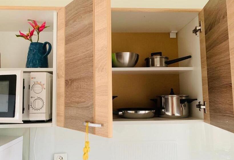 침실 1개 테라스 아파트, Brickyard Apartments Cluj
