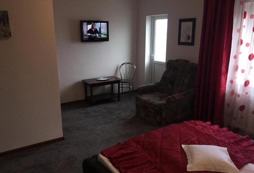 חדר סטנדרט לשלושה, Pensiunea Flora