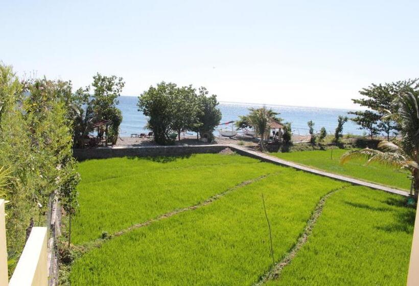 Апартаменты 1 Спальня Вид на Море, Villa Mangga Beach