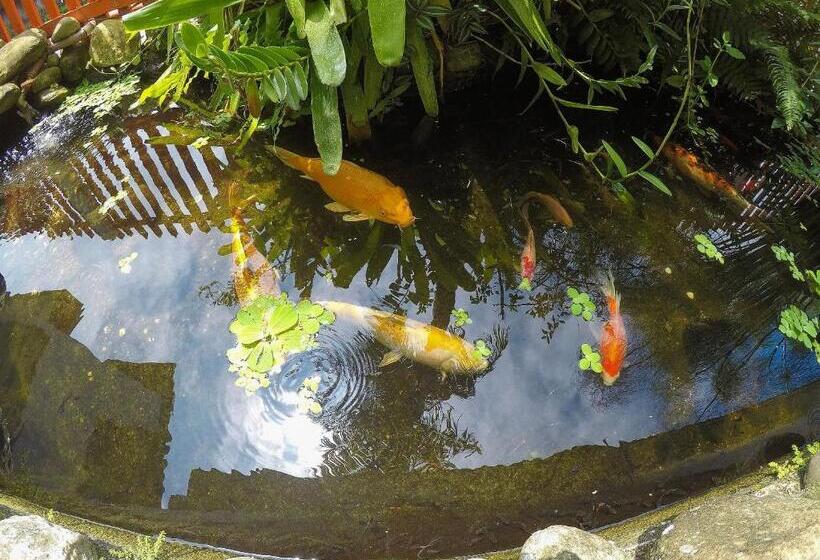Quarto Familiar, Pousada Entre Paraísos