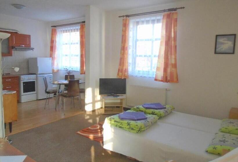 带露台的套间, Wellness Penzion Lázně Jablonec