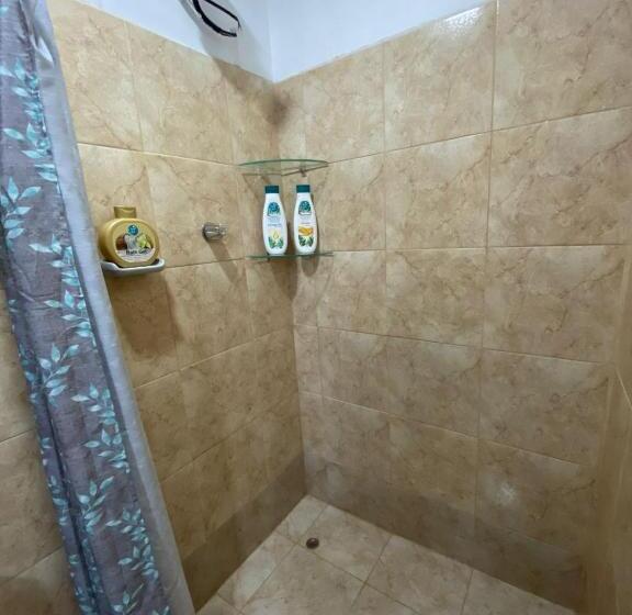 Студия Стандарт, Blue Morpho House B&b