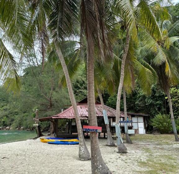 بنجلو قياسى, Wild Pasir Panjang