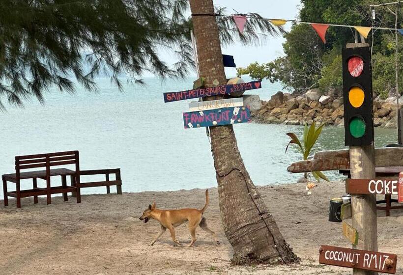 بنجلو قياسى, Wild Pasir Panjang