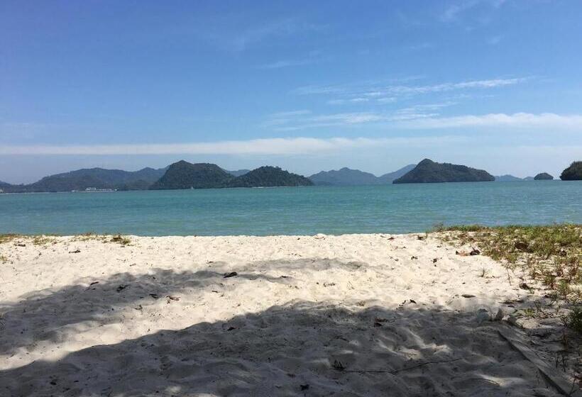بنجلو قياسى, Wild Pasir Panjang