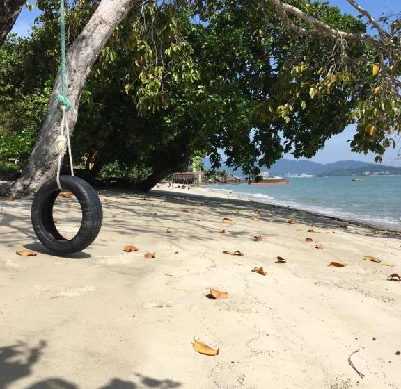 스탠다드 방갈로, Wild Pasir Panjang