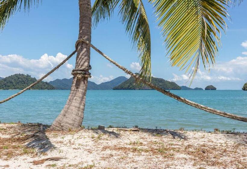 سرير فى غرفة مشتركه, Wild Pasir Panjang