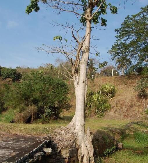 Шале 1 Спальня, Fazenda Cachoeira Grande